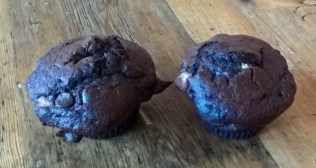 WP_20190224_08_41_49_Pro