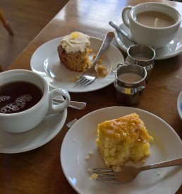 WP_20190307_11_23_38_Pro