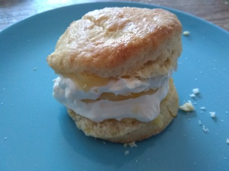 IMG_20190322_124124185